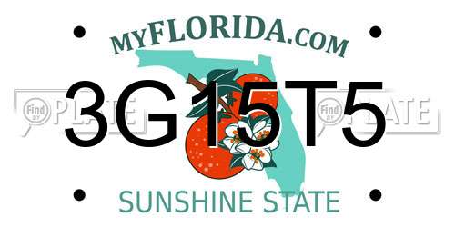 3G15T5 Florida License Plate