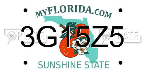 3G15Z5 Florida License Plate