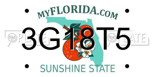 3G18T5 Florida License Plate
