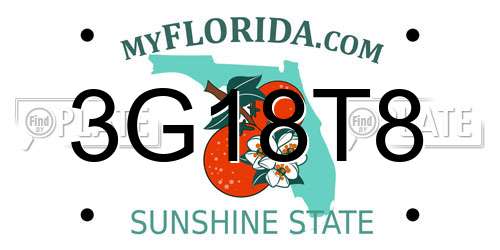 3G18T8 Florida License Plate