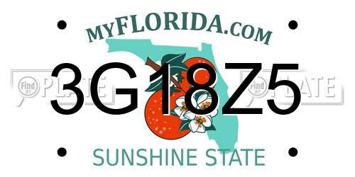 3G18Z5 Florida License Plate