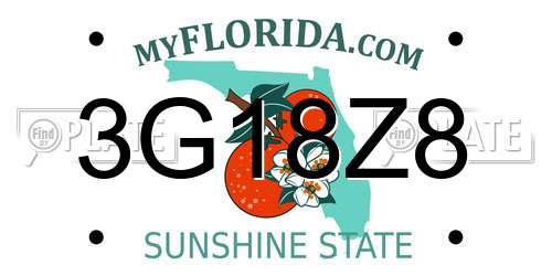 3G18Z8 Florida License Plate