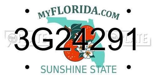 3G24291 Florida License Plate