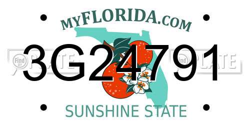 3G24791 Florida License Plate