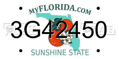 3G42450 Florida License Plate