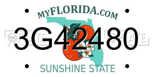3G42480 Florida License Plate