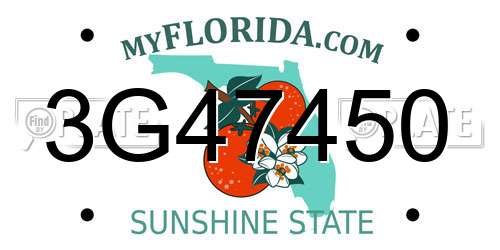 3G47450 Florida License Plate