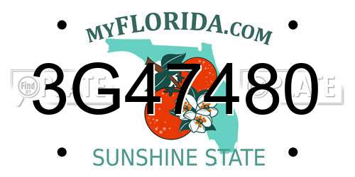 3G47480 Florida License Plate