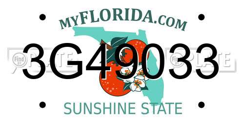 3G49033 Florida License Plate