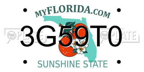 3G59T0 Florida License Plate