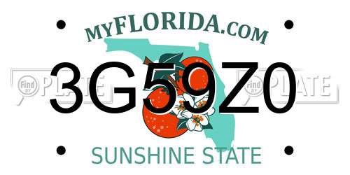 3G59Z0 Florida License Plate