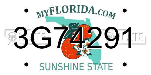 3G74291 Florida License Plate