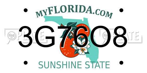 3G76O8 Florida License Plate