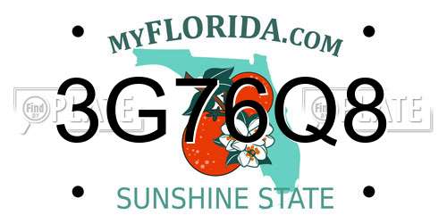 3G76Q8 Florida License Plate