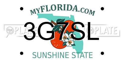 3G7SL Florida License Plate