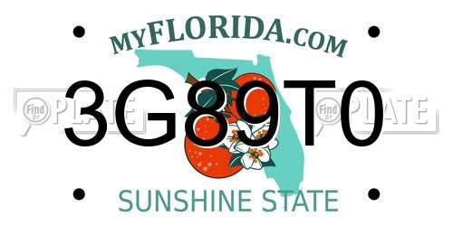 3G89T0 Florida License Plate