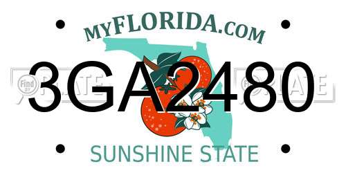 3GA2480 Florida License Plate
