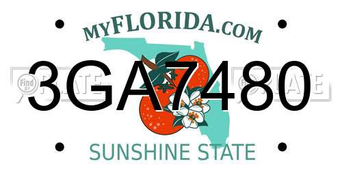 3GA7480 Florida License Plate