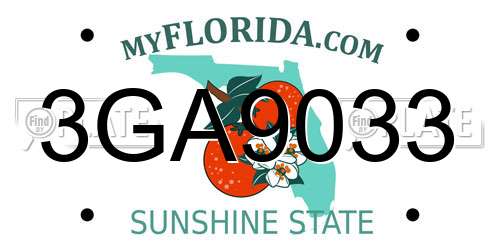 3GA9033 Florida License Plate