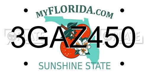 3GAZ450 Florida License Plate