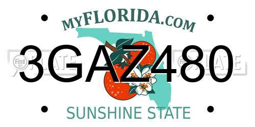 3GAZ480 Florida License Plate