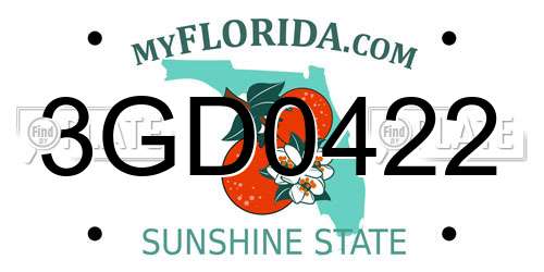 3GD0422 Florida License Plate