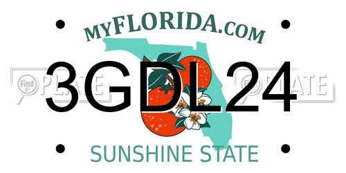 3GDL24 Florida License Plate