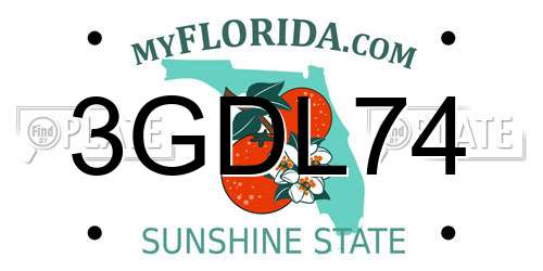 3GDL74 Florida License Plate