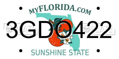 3GDO422 Florida License Plate