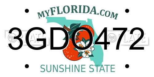 3GDO472 Florida License Plate