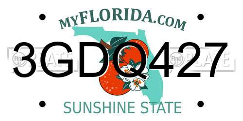 3GDQ427 Florida License Plate