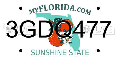 3GDQ477 Florida License Plate