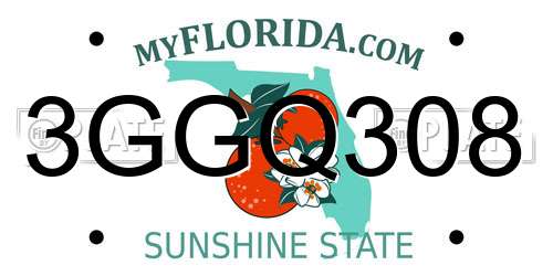 3GGQ308 Florida License Plate
