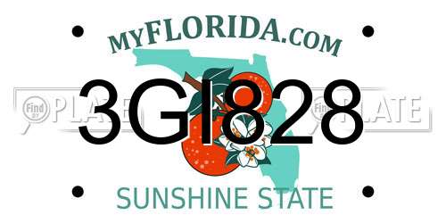 3GI828 Florida License Plate