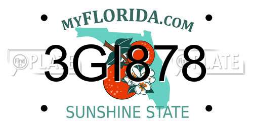 3GI878 Florida License Plate