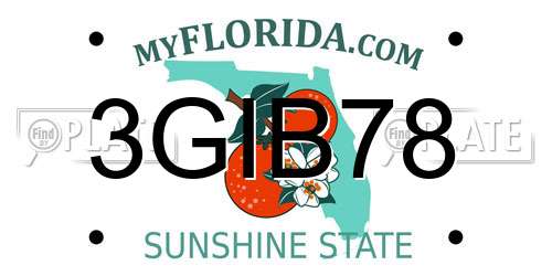 3GIB78 Florida License Plate