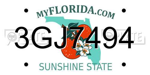 3GJ7494 Florida License Plate