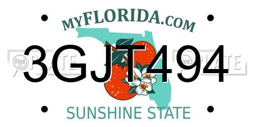 3GJT494 Florida License Plate