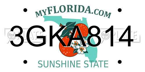 3GKA814 Florida License Plate