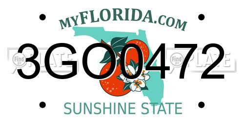 3GO0472 Florida License Plate