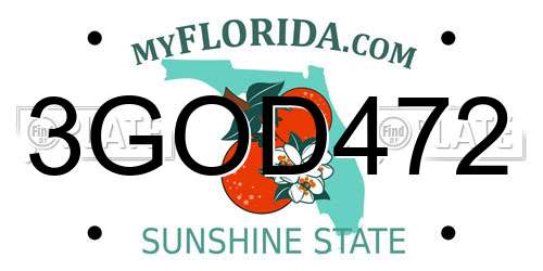 3GOD472 Florida License Plate