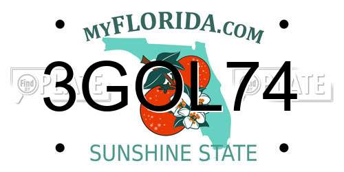 3GOL74 Florida License Plate