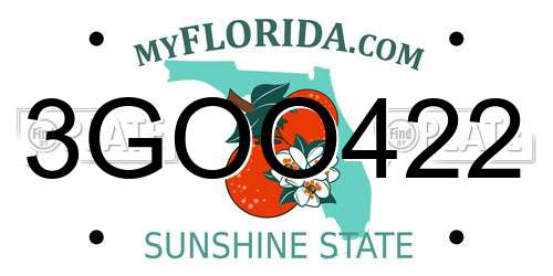 3GOO422 Florida License Plate