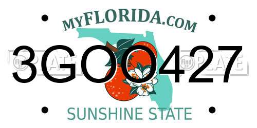 3GOO427 Florida License Plate