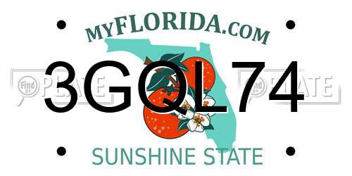 3GQL74 Florida License Plate