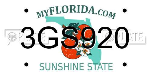 3GS920 Florida License Plate