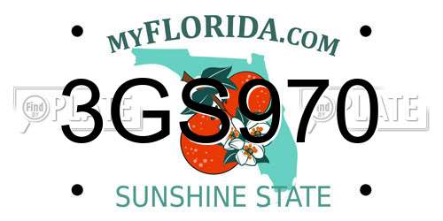 3GS970 Florida License Plate