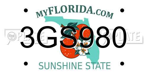 3GS980 Florida License Plate