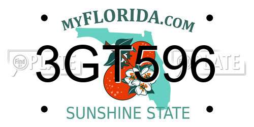 3GT596 Florida License Plate