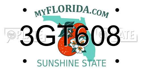 3GT608 Florida License Plate